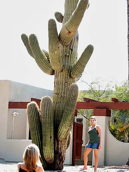 ftv girls precious girls ftvgirls