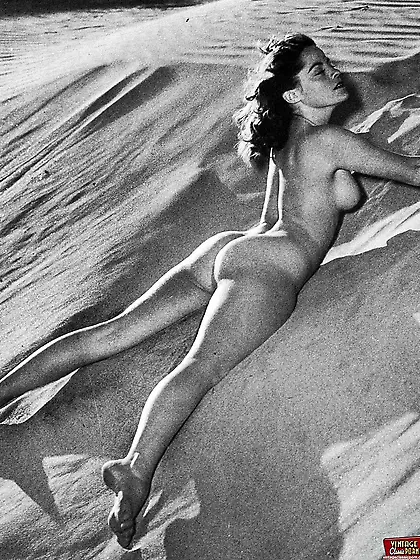 Big breasted diane webber