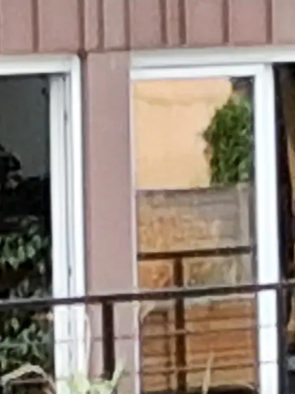 Jeune voisine qui bronze