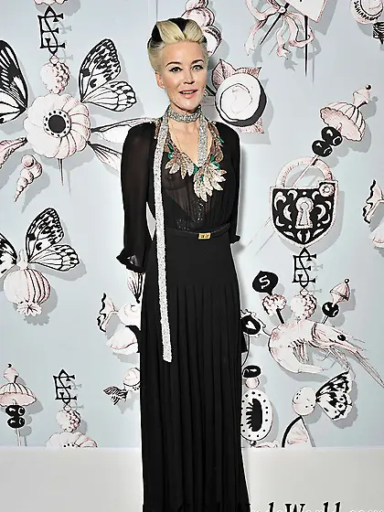 See through pics of Daphne Guinness