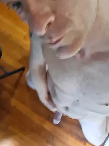 Cheating Husband Grindr Photos