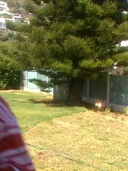 Slutty wife loves eating warm cum for dinner