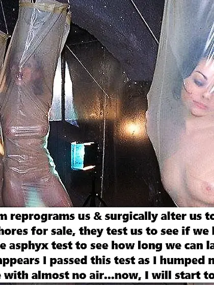 the desired bdsm world of me sissystephanie