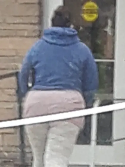 fat chicks of wall narts