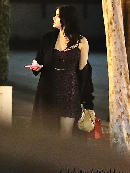 Ariel Winter Upskirt