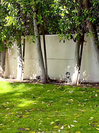 Tiny long-haired slut drilled