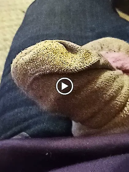 For Blackmail of Scott Brewster