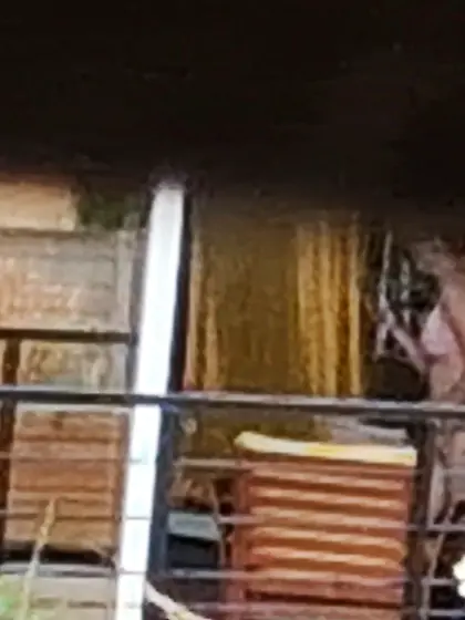 Jeune voisine qui bronze