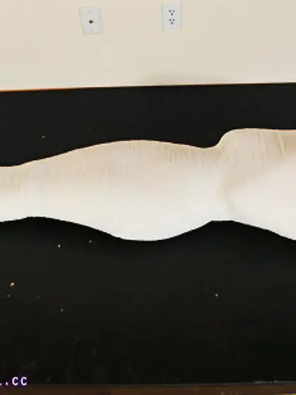 Delicious Savory Control