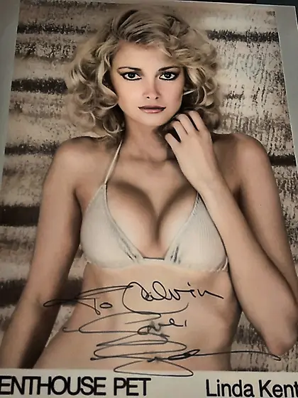 Best of Linda Kenton (very hairy blonde pussy)