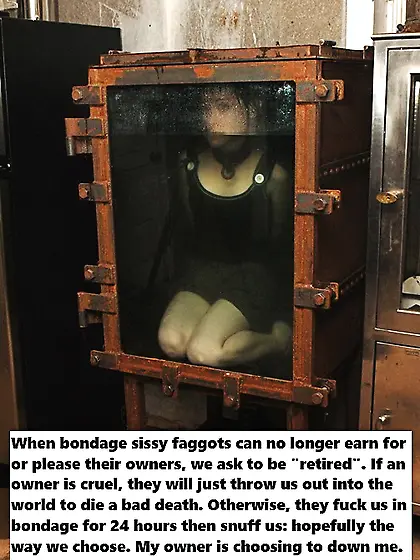 sissystephanie's dreams of slaverly