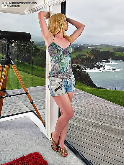 Beautiful shaved pussy of Kala Ferard looks great with the toy s