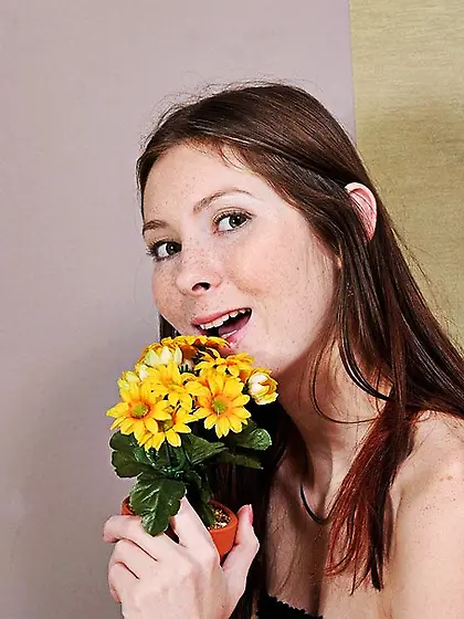 European Kattie Gold