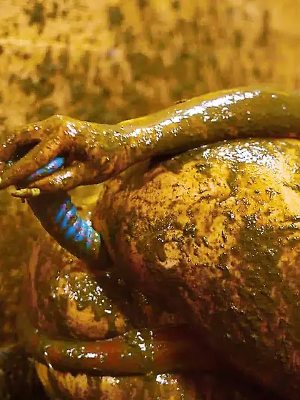 Rada Brewer: Filling My Swimsuit