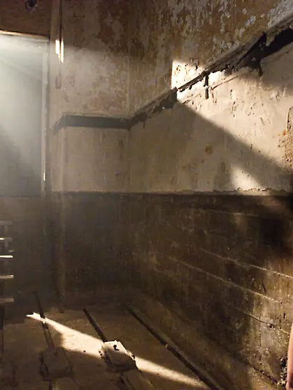 Domination,  anal fisting and rough anal sex!