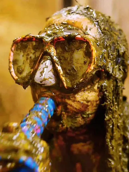 Rada Brewer: Filling My Swimsuit