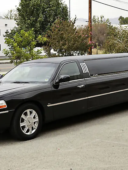 She's A Great Tipper