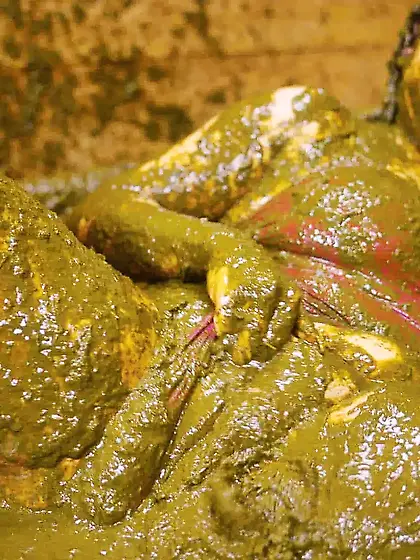 Rada Brewer: Filling My Swimsuit