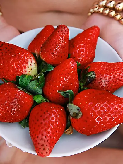 Naked blonde with shaved pussy Erica B is erotically eating the