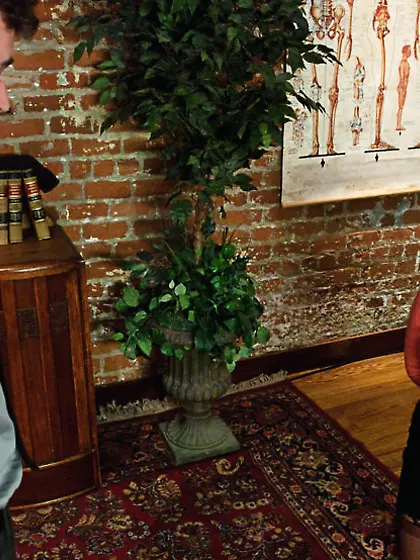 Wild kinky butt sex with first timer.