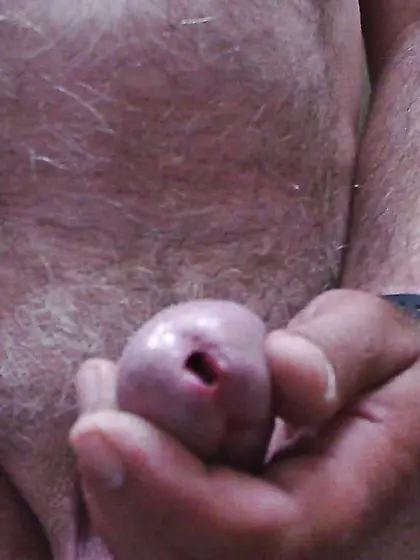 Ein paar neue Bilder