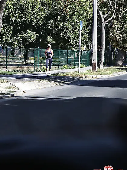 Good news,  cat fight