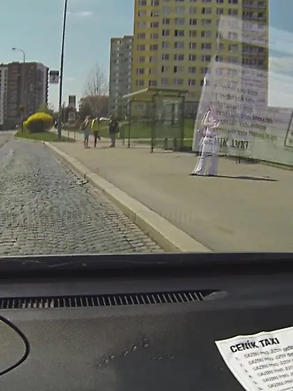 Slutty brunette chick pooper