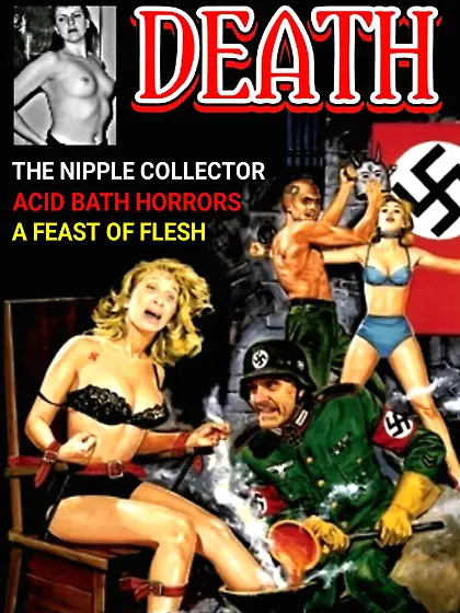 Nazi Pulp Magazine Covers