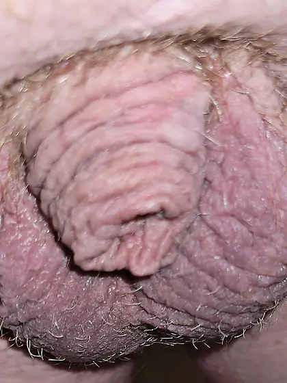 Sissy Jessica faggot cocksucker hole