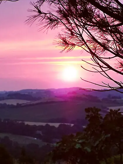 Une pause dans mon jardin..