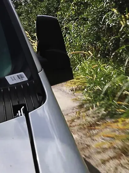 Cruising bdsm creep finds