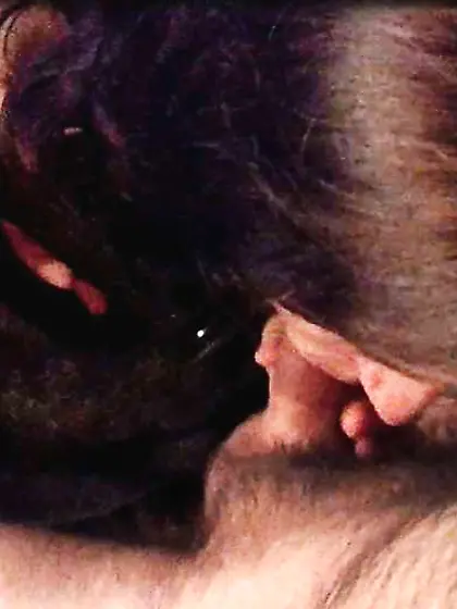 Fully Unsuspicious Wifey