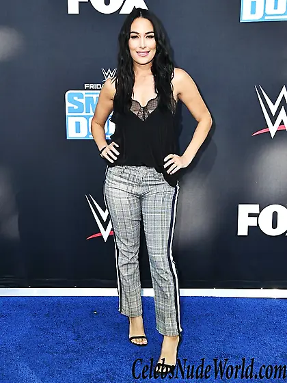 Brie Bella Sexy