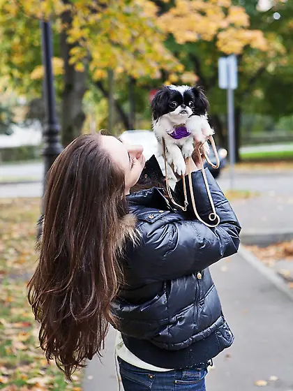 Cute and hot brunette Aruna Aghora got on fancy chair and hotly