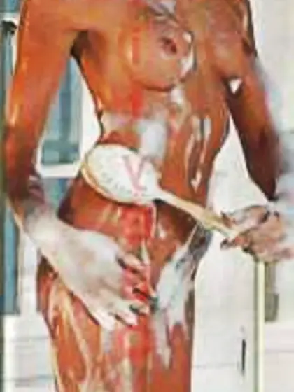 Janelle Pierzina Large Brother USA