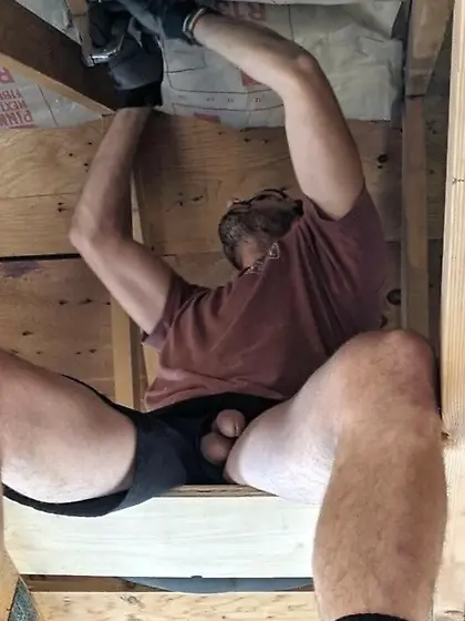 fagbait - alpha cocks luring faggots to destiny