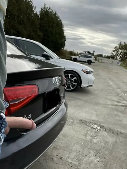 fagbait - alpha cocks luring faggots to destiny