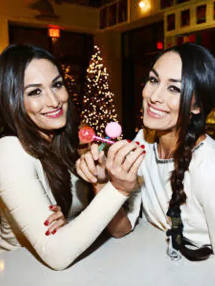 The Bella Twins - Christmas