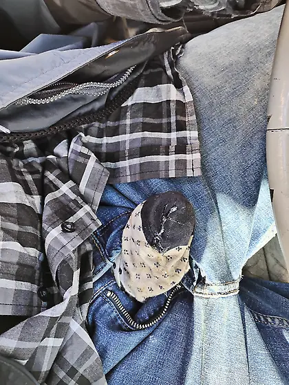 Scott Hardin Brewster